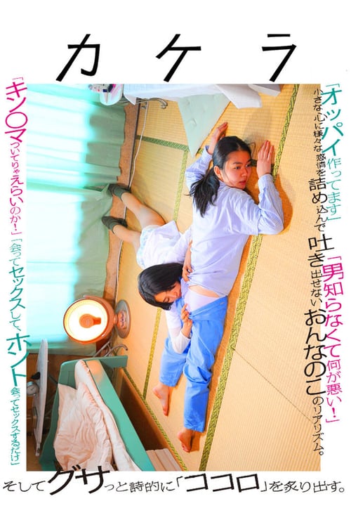 18+ Kakera A Piece Of Our Life (2009) หนังแนวเลสเบี้ยนญี่ปุ่น