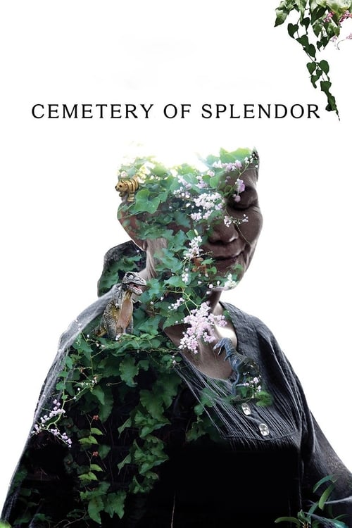 Cemetery of Splendor (2015) รักที่ขอนแก่น