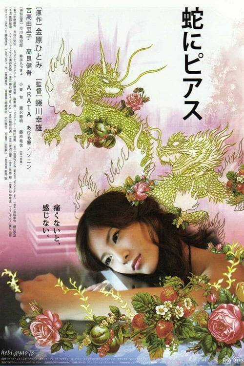 Snakes and Earrings (2008) แด่ความรักด้วยความเจ็บปวด