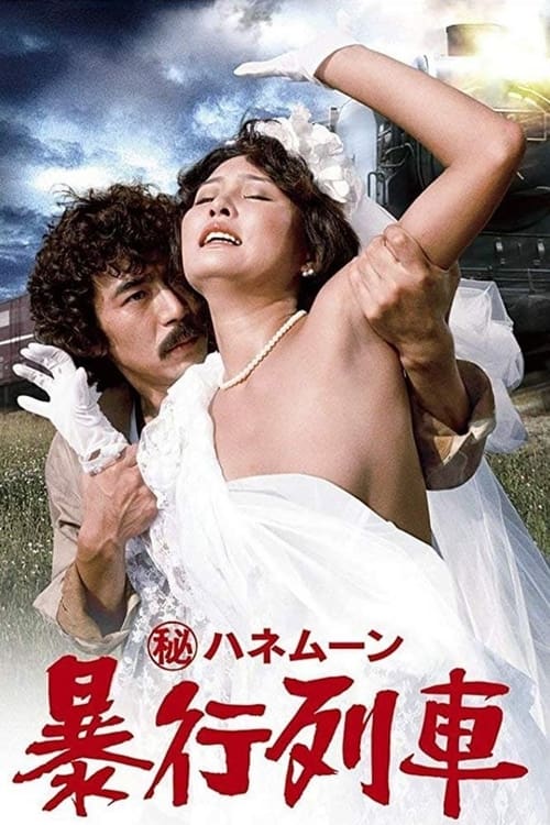 18+ Secret Honeymoon: Rape Train (1977)
