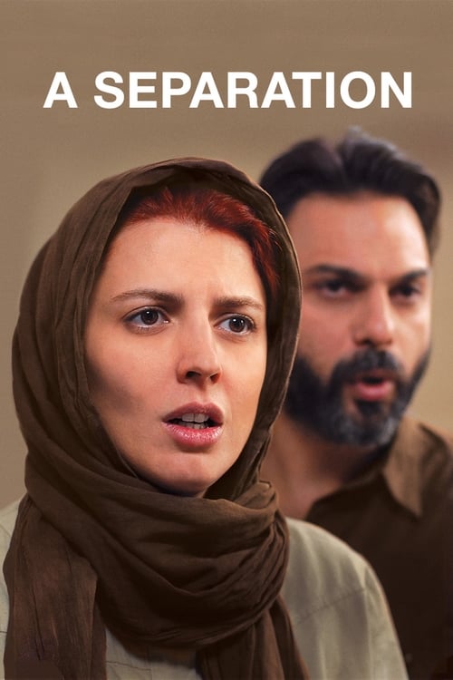 A Separation (2011) หนึ่งรักร้าง วันรักร้าว