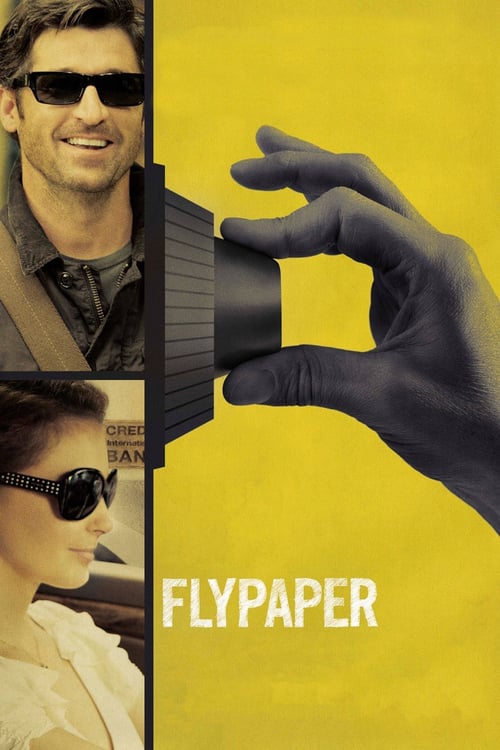 Flypaper (2011) ปล้นสะดุด มาหยุดที่รัก