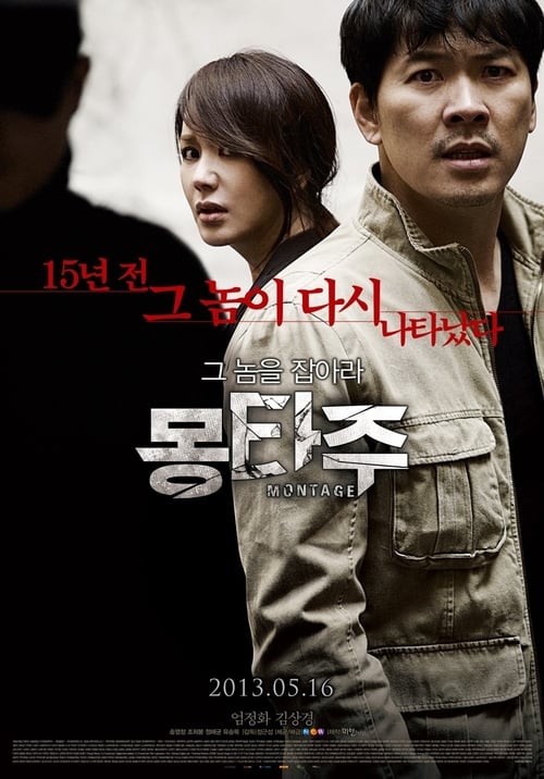Montage (2013) สืบล่าฆ่าซ้อนแผน