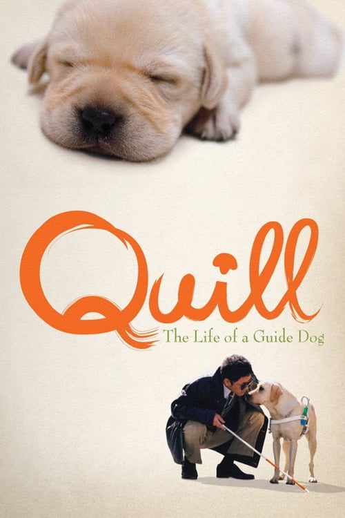 Quill - The Life of a Guide Dog (2004) โฮ่ง (ฮับ) เจ้าตัวเนี้ยซี้ 100%