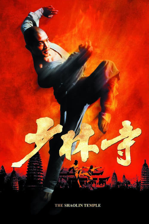 The Shaolin Temple 1 (1982) เสี้ยวลิ้มยี่ ภาค 1