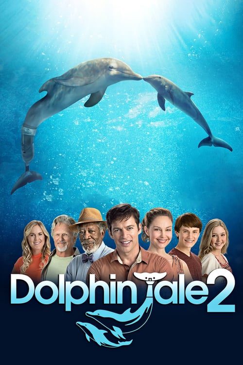 Dolphin Tale 2 (2014) มหัศจรรย์โลมาหัวใจนักสู้ 2