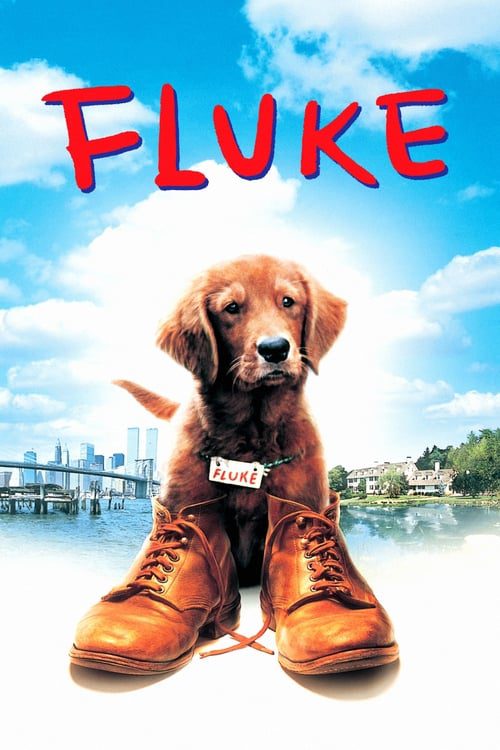 FLUKE (1995)