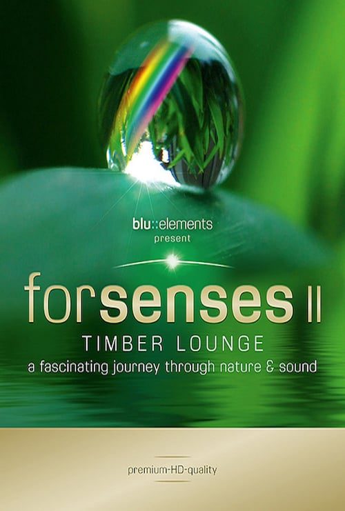 Forsenses II Timber Lounge (2011)