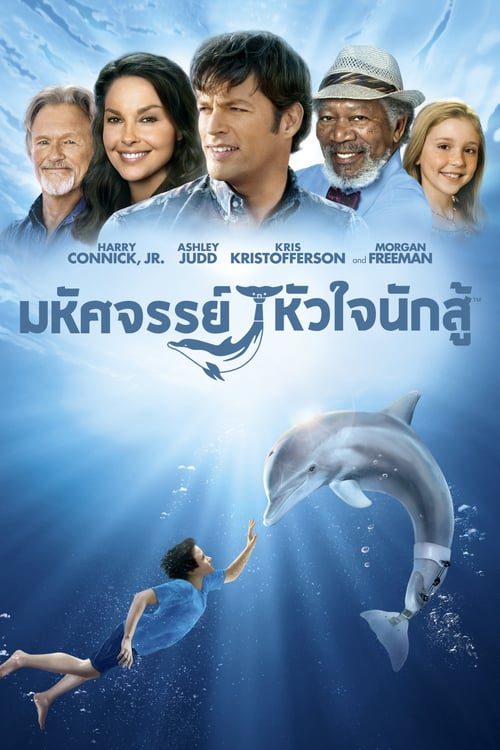 [NETFLIX] Dolphin Tale (2011) มหัศจรรย์โลมาหัวใจนักสู้