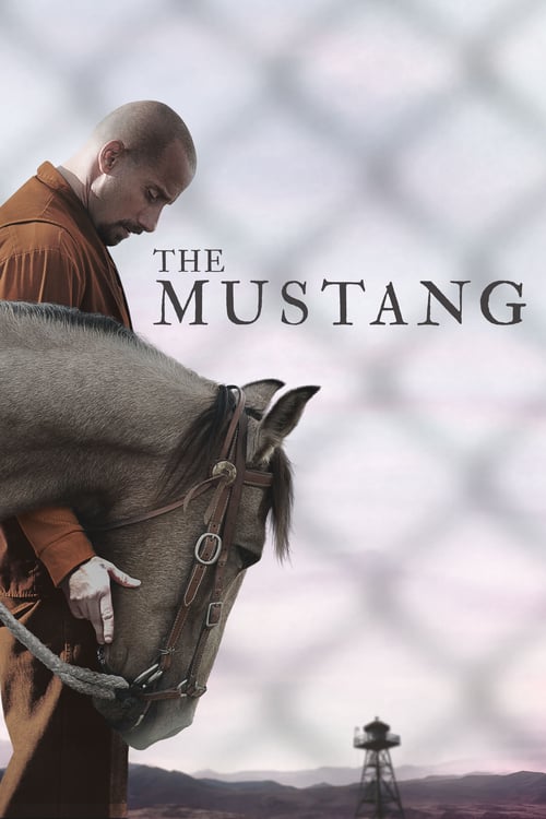 [NETFLIX] The Mustang (2019) ม้าป่าแสนพยศ