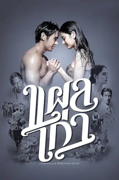 The Scar (2014) แผลเก่า