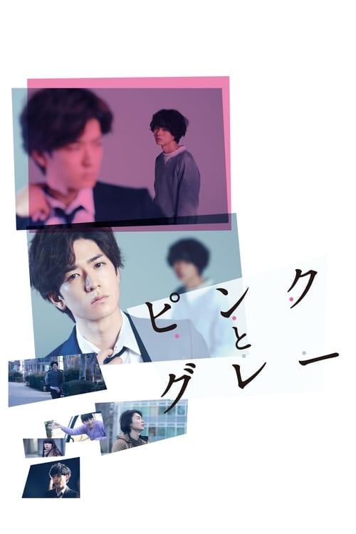 Pink and Gray (2016) พิพากษาปริศนาคนตาย