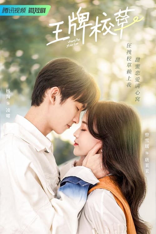 Campus Ace (2022) เกมรักของคุณชายตัวร้าย EP.1-24 (กำลังฉาย)