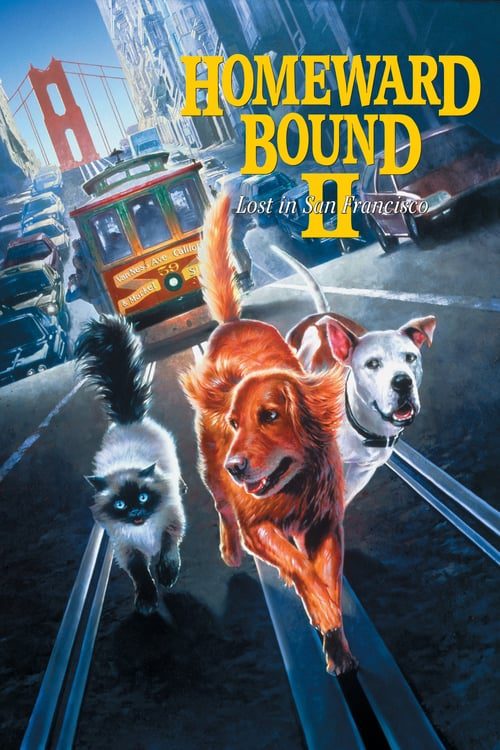 Homeward Bound II- Lost in San Francisco (1996) 2 หมา 1 แมว หายไปในซานฟรานซิสโก