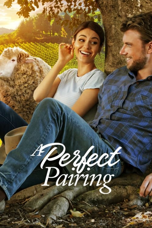 [NETFLIX] A Perfect Pairing (2022) คู่นี้... คือเพอร์เฟค