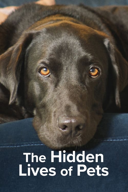 The Hidden Lives of Pets (2022) ชีวิตลับสัตว์เลี้ยง