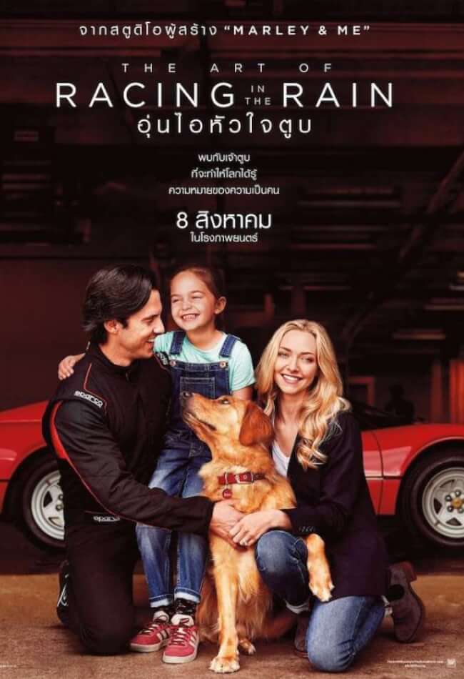 The Art of Racing in the Rain (2019) อุ่นไอหัวใจตูบ
