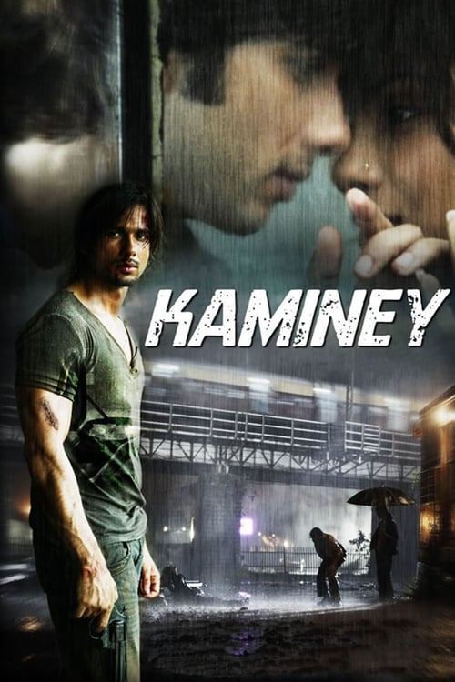 Kaminey (2009) แผนดัดหลังคำสั่งฆ่า