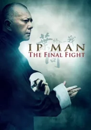 Ip Man 4.1 The Final Fight (2013) หมัดสุดท้าย ปรมาจารย์ยิปมัน