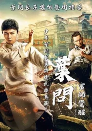 Ip Man The Awakening (2022)