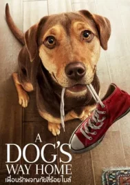 A Dog s Way Home (2019) เพื่อนรักผจญภัยสี่ร้อยไมล์