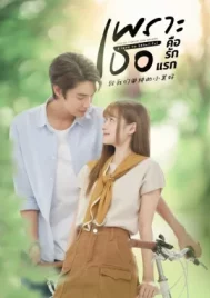 A Love So Beautiful (2024) เพราะเธอคือรักแรก EP.1-18 (จบ)