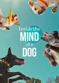 Inside the Mind of a Dog (2024) อ่านใจสุนัข