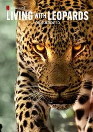 Living with Leopards (2024) อยู่กับเสือดาว