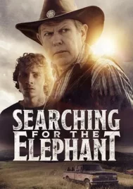 Searching for the Elephant (2024)