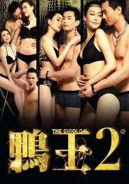 The Gigolo 2 (2016) เสน่ห์รักหนุ่มจิ๊กโกโล่ 2