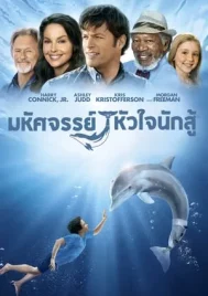 Dolphin Tale (2011) มหัศจรรย์โลมาหัวใจนักสู้