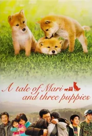 A Tale of Mori and Three Puppies (2007) เพื่อนซื่อ ชื่อ มาริ