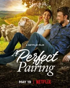 A Perfect Pairing film poster 11zon