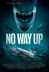 No way up 2024 poster 11zon