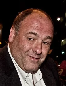 James Gandolfini @ Toronto International Film Festival 2011 11zon 1