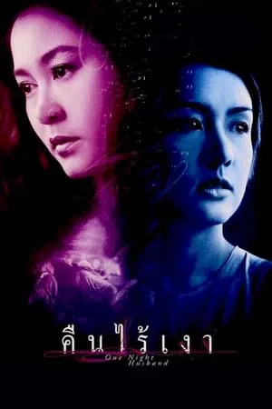 One Night Husband (2003) คืนไร้เงา