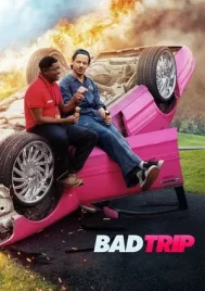 Bad Trip (2020) ทริปป่วนคู่อำ