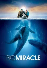 Big Miracle (2012) ปาฏิหาริย์วาฬสีเทา