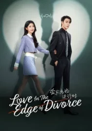 Love in the Edge of Divorce (2025) เมื่อหัวใจห่างไกลรัก EP.1-31 (ยังไม่จบ)