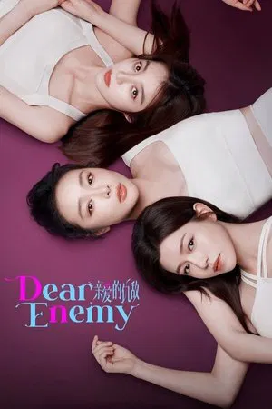 Dear Enemy (2025) คู่รักคู่แค้น