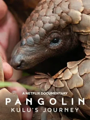Pangolin Kulu s Journey (2025) การเดินทางของคูลู